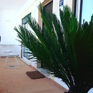  Appartement Casa Ocean